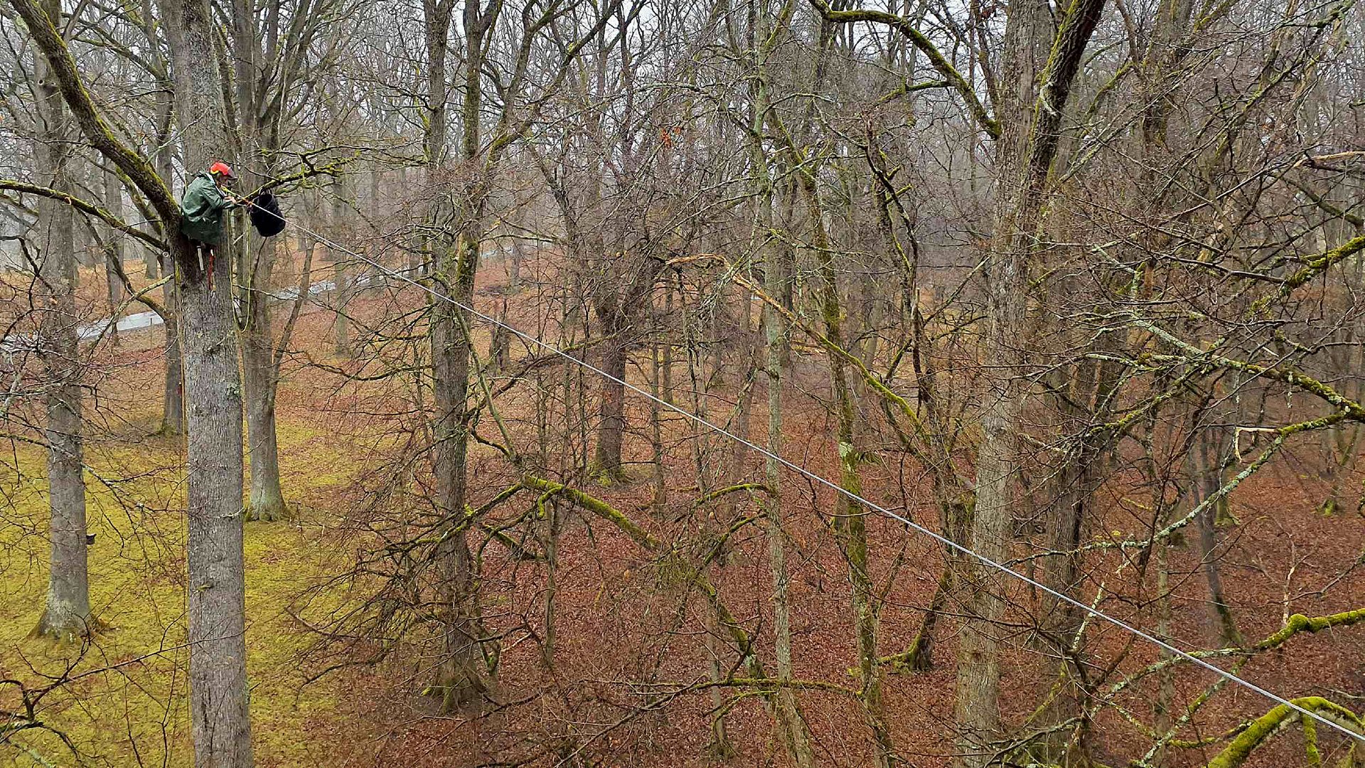 habitateiche-06-1920x1080