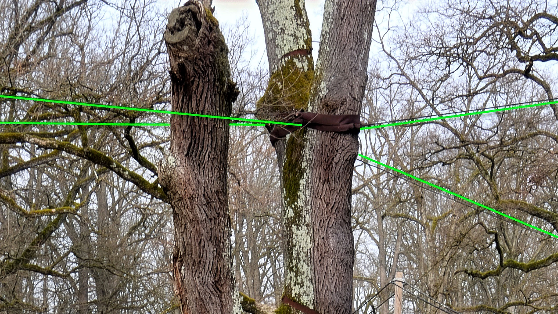 habitateiche-07-1920x1080